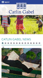 Mobile Screenshot of catlin.edu